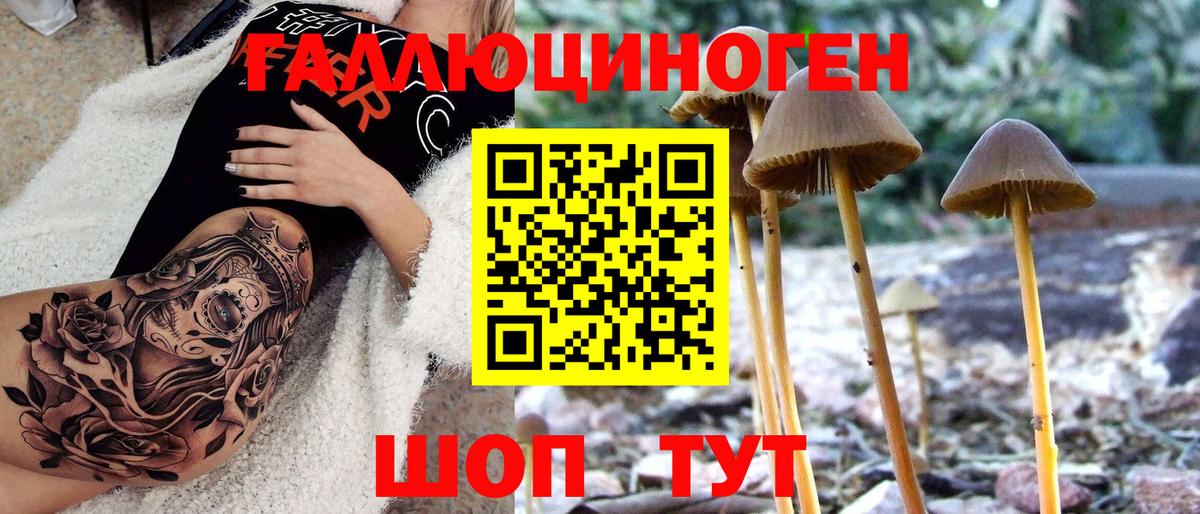 Псилоцибиновые грибы GOLDEN TEACHER Мурманск