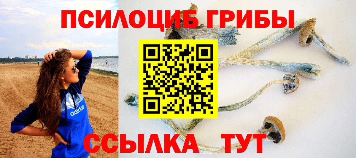 Галлюциногенные грибы прущие грибы  Вход с VPN  Мурманск 